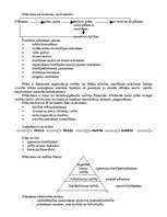 Konspekts 'Vadības teorija', 27.