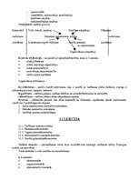 Konspekts 'Vadības teorija', 28.