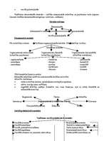Konspekts 'Vadības teorija', 29.