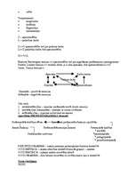 Konspekts 'Vadības teorija', 34.