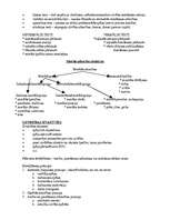 Konspekts 'Vadības teorija', 35.