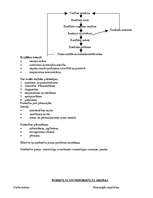 Konspekts 'Vadības teorija', 37.