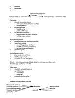 Konspekts 'Vadības teorija', 40.