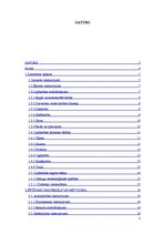 Referāts 'Ražošanas plānošana modeļsaimniecībā "Pīlādži"', 2.