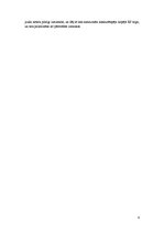 Referāts 'Ražošanas plānošana modeļsaimniecībā "Pīlādži"', 6.