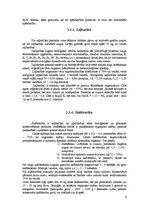 Referāts 'Ražošanas plānošana modeļsaimniecībā "Pīlādži"', 9.