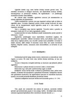 Referāts 'Ražošanas plānošana modeļsaimniecībā "Pīlādži"', 13.