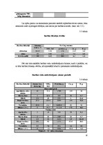 Referāts 'Ražošanas plānošana modeļsaimniecībā "Pīlādži"', 19.