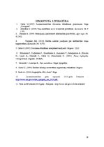 Referāts 'Ražošanas plānošana modeļsaimniecībā "Pīlādži"', 29.