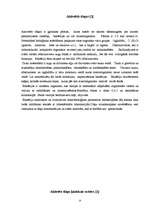 Referāts 'Rēzeknes NAI dūņu atūdeņošanas iekārtu pilnveidošanas projekts', 9.