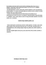 Referāts 'Rēzeknes NAI dūņu atūdeņošanas iekārtu pilnveidošanas projekts', 10.