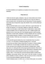 Referāts 'Rēzeknes NAI dūņu atūdeņošanas iekārtu pilnveidošanas projekts', 13.