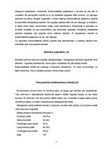 Referāts 'Rēzeknes NAI dūņu atūdeņošanas iekārtu pilnveidošanas projekts', 17.