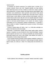 Referāts 'Rēzeknes NAI dūņu atūdeņošanas iekārtu pilnveidošanas projekts', 19.