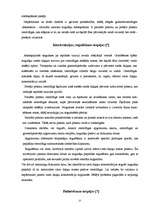 Referāts 'Rēzeknes NAI dūņu atūdeņošanas iekārtu pilnveidošanas projekts', 25.