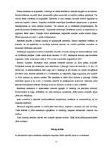 Referāts 'Rēzeknes NAI dūņu atūdeņošanas iekārtu pilnveidošanas projekts', 31.