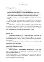 Prakses atskaite 'Prakse lietvedībā un grāmatvedībā', 5.