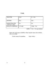 Referāts 'Pusaudžu šizofrēnija', 13.