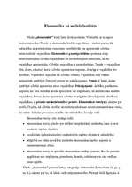 Konspekts 'Ekonomika kā sociāls institūts', 1.