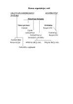 Konspekts 'Ekonomika kā sociāls institūts', 4.