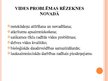 Prezentācija 'Vides problēmas Rēzeknes novadā', 7.