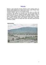 Referāts 'Meksika', 5.