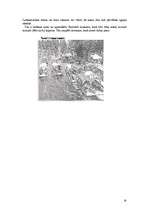 Referāts 'Meksika', 14.