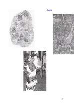 Referāts 'Meksika', 17.