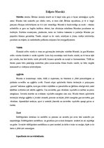 Konspekts 'Lietišķā etiķete Marokā', 1.