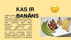 Referāts 'Kas ir banāns?', 4.