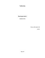 Konspekts 'Vadības stilu analītais darbs', 1.