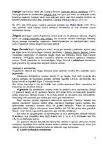 Referāts 'Latvijas kultūra 19.gadsimta 1.pusē - 20.gadsimta sākumā', 9.