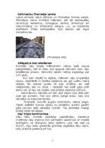 Referāts 'Senā Roma', 5.