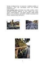 Referāts 'Senā Roma', 8.