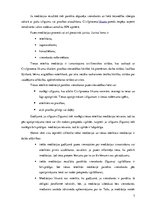 Eseja 'Tiesas ieteiktā mediācija', 7.