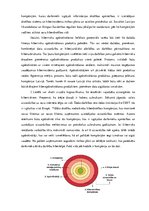 Referāts 'Kiberapdrošināšanas potenciāls Latvijā', 23.