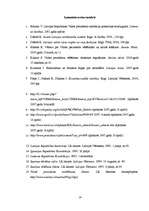 Referāts 'Valsts prezidenta ievēlēšana Latvijā: teorija, prakse un problēmas', 19.