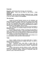 Eseja 'Jāņa Ezeriņa noveles "Mērkaķis" analīze', 2.