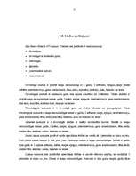 Prakses atskaite 'Profesionālais prakses pārskats viesnīcā ārzemēs', 11.