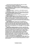 Konspekts 'Maņu orgānu fizioloģija', 4.