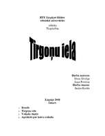 Referāts 'Tirgoņu iela', 1.