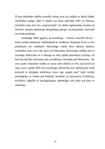 Referāts 'Islāma valstis', 14.