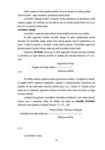 Diplomdarbs 'SIA "X" vadības stratēģisko lēmumu ietekme uz uzņēmuma finanšu rādītājiem', 24.