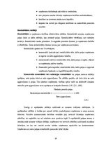 Diplomdarbs 'SIA "X" vadības stratēģisko lēmumu ietekme uz uzņēmuma finanšu rādītājiem', 25.