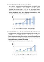 Diplomdarbs 'SIA "X" vadības stratēģisko lēmumu ietekme uz uzņēmuma finanšu rādītājiem', 47.