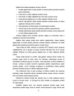 Diplomdarbs 'Finanšu pārskatu pārbaudes ieviešana maziem un vidējiem uzņēmumiem Latvijā', 9.