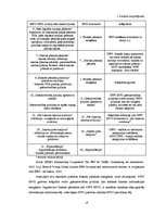 Diplomdarbs 'Finanšu pārskatu pārbaudes ieviešana maziem un vidējiem uzņēmumiem Latvijā', 18.