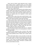 Diplomdarbs 'Finanšu pārskatu pārbaudes ieviešana maziem un vidējiem uzņēmumiem Latvijā', 23.