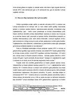 Diplomdarbs 'Finanšu pārskatu pārbaudes ieviešana maziem un vidējiem uzņēmumiem Latvijā', 32.