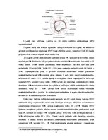 Diplomdarbs 'Finanšu pārskatu pārbaudes ieviešana maziem un vidējiem uzņēmumiem Latvijā', 38.